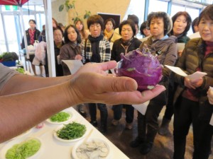 12334302_907057046039029_975745841_o