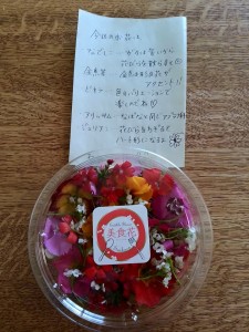 12345572_419361341593887_8138023339307943149_n