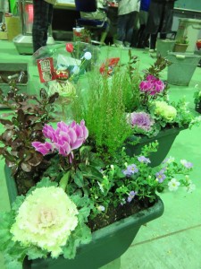 12351088_909031982508202_274577232_n