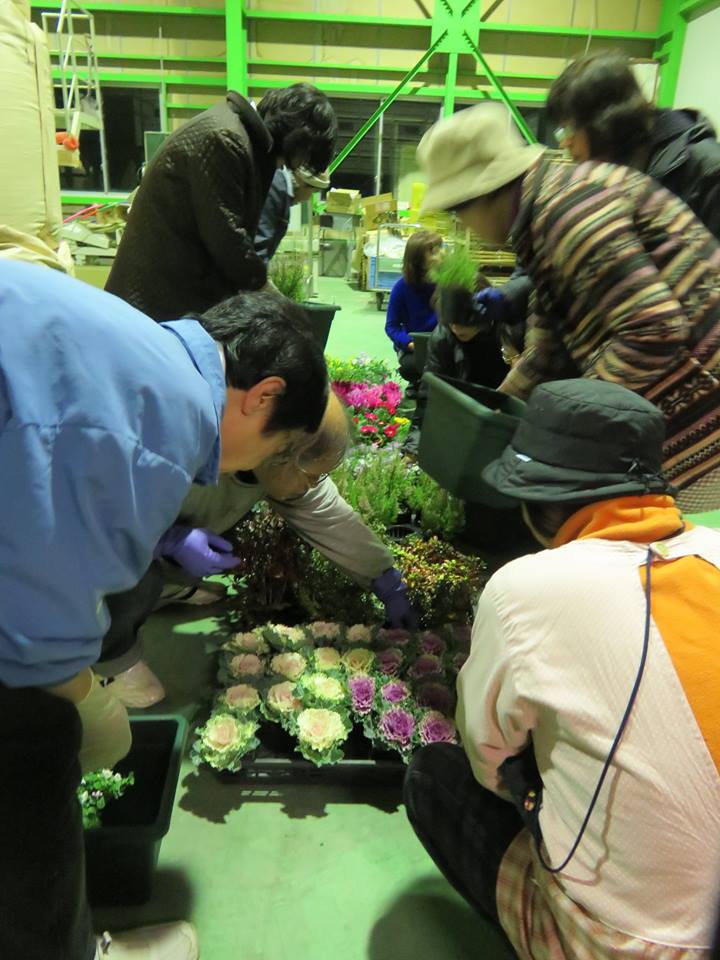 「冬の玄関先を飾る寄せ植えを作りましょう」