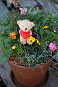 12366628_910192612392139_935033293_n