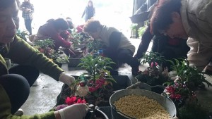 12380095_909887302422670_701760327_n