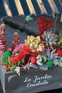 12380622_910193535725380_1280201474_n