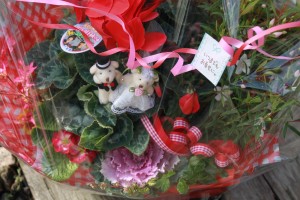 12381116_911094428968624_305703613_o