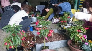 12386714_909887289089338_299834521_n