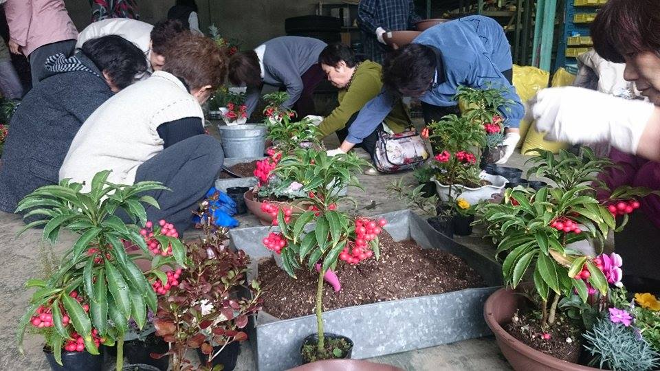 今年も山田村寄せ植え教室！！