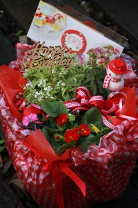 12388216_910190699058997_34496283_n