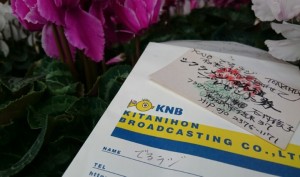 12390922_912089218869145_7489517394592295660_n