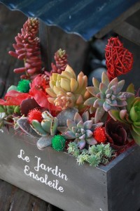 12395224_910193189058748_1291576156_n