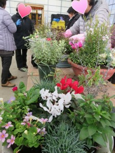 12395507_913701592041241_1285652465_n