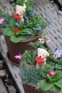 12399213_915154415229292_32185573_n