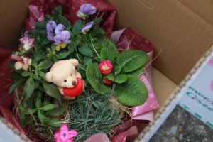 12400217_915154398562627_250020430_o