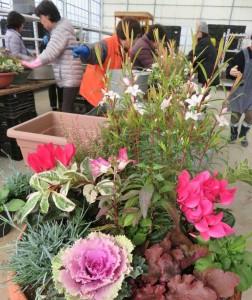 12421692_913700518708015_312340387_n