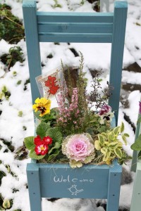 12431438_918251591586241_321583717_n