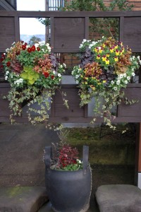 12434486_918689501542450_410606970_n