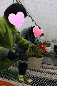 12436091_917097428368324_1285633177_n