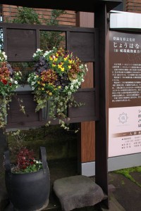 12442908_918689494875784_1072801866_n