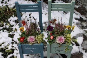 12449717_918250244919709_1140316618_o