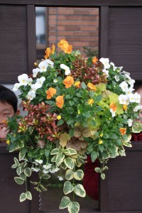 12463679_918689641542436_2038956762_n