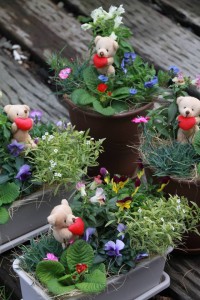 912669_915156035229130_537662072_n