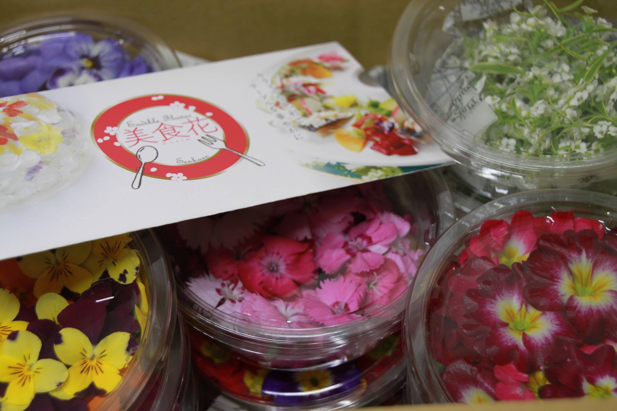 美食花、続々発送！！