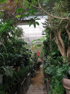 12494276_922966657781401_1894959313_o