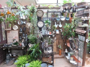 12494372_922966507781416_1430921734_o