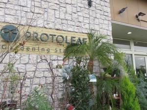 12494389_922966081114792_1221191006_o