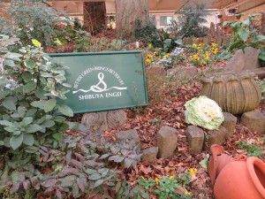 12499254_922966721114728_260624266_o