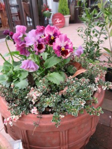 12499271_922966841114716_600584714_o