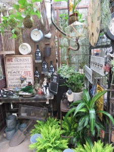 12499272_922966547781412_2076779597_o