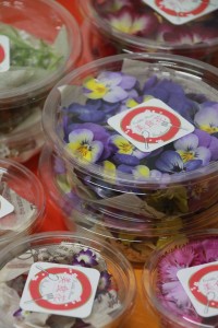 12570991_930754150335985_153506262_n