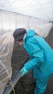 12596517_931462426931824_836451601_n