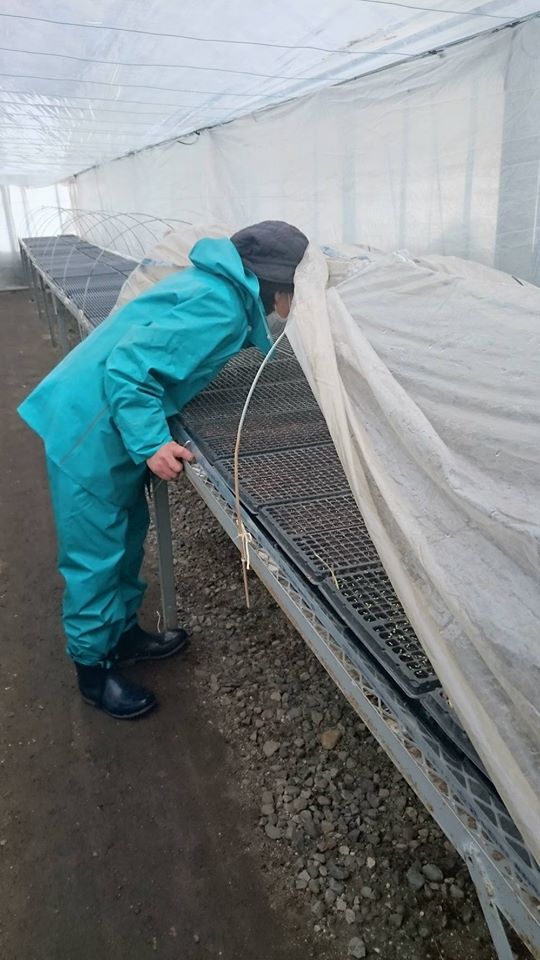 苗は元気かな～♪