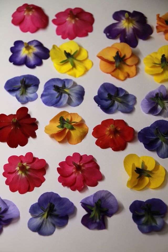 美食花の加工品開発いよいよ始動です☆