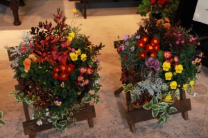 12620484_932359363508797_824479797_o