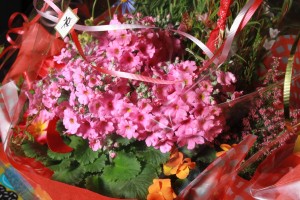 12620514_932159690195431_1344439031_o