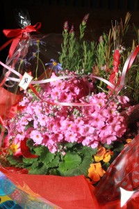 12625960_932159800195420_1871746589_n