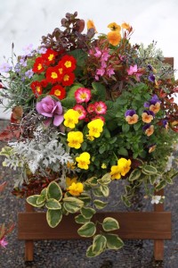 12647929_932359340175466_1584796904_n