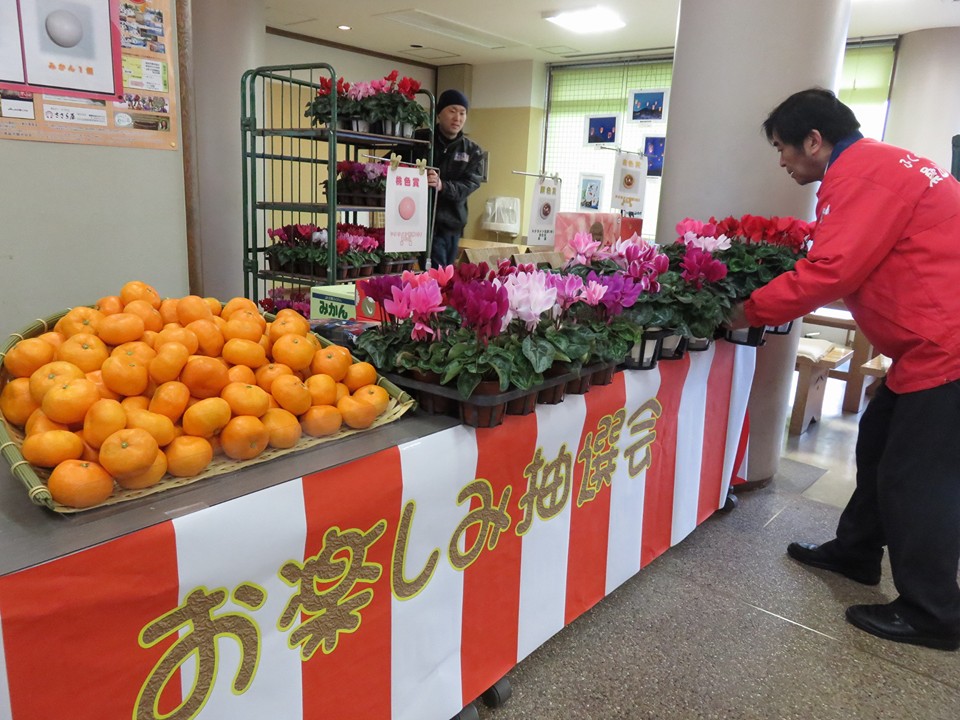 初売り大抽選会でシクラメン♪