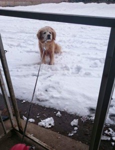 received_924760820935318