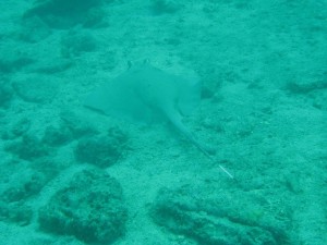 11257321_936717136406353_668532053716132964_o