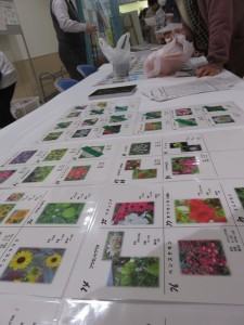 12495256_949684068442993_6192810093730375688_n