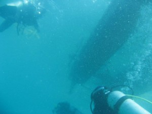 12622558_936716639739736_50556556746394421_o