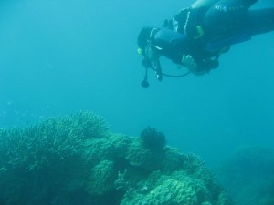 12628403_936716356406431_3288318514990552940_o