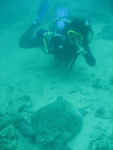 12631350_936716896406377_2197742950086337036_n