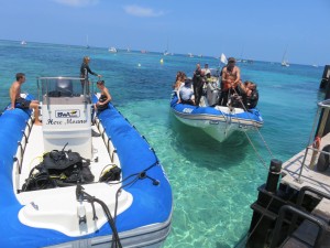 12633555_936719543072779_3589664830454862099_o