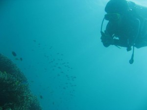 12633673_936716579739742_5458799981504482345_o