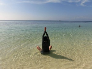 12640381_936710066407060_3205361898454537407_o