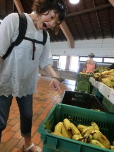 12642896_936711803073553_1319788761405834535_n